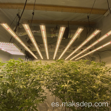 Equipo de luz de cultivo LED de segunda mano